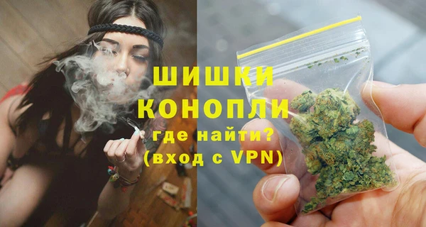 сатива Володарск