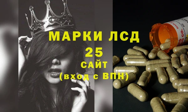 сатива Володарск