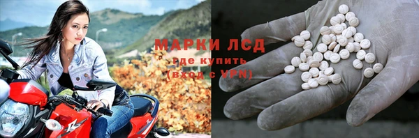 сатива Володарск